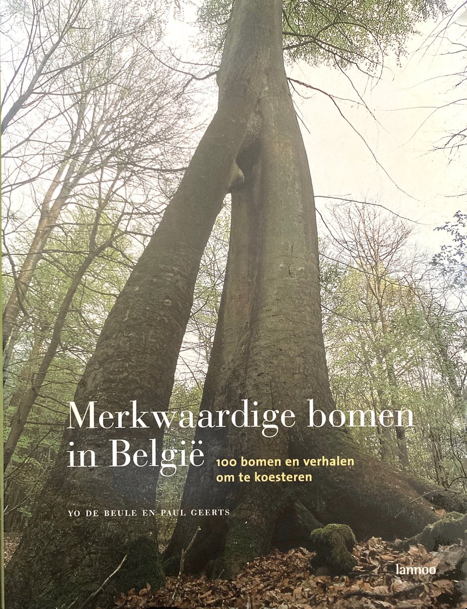 Merkwaardige bomen in België