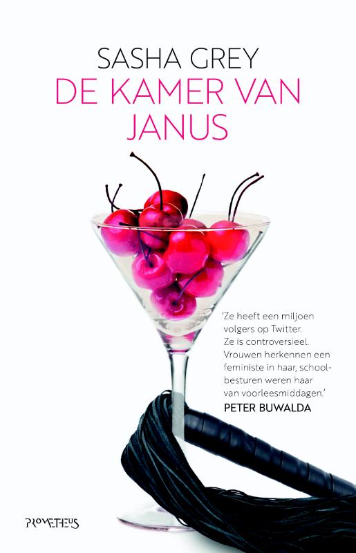 De kamer van Janus