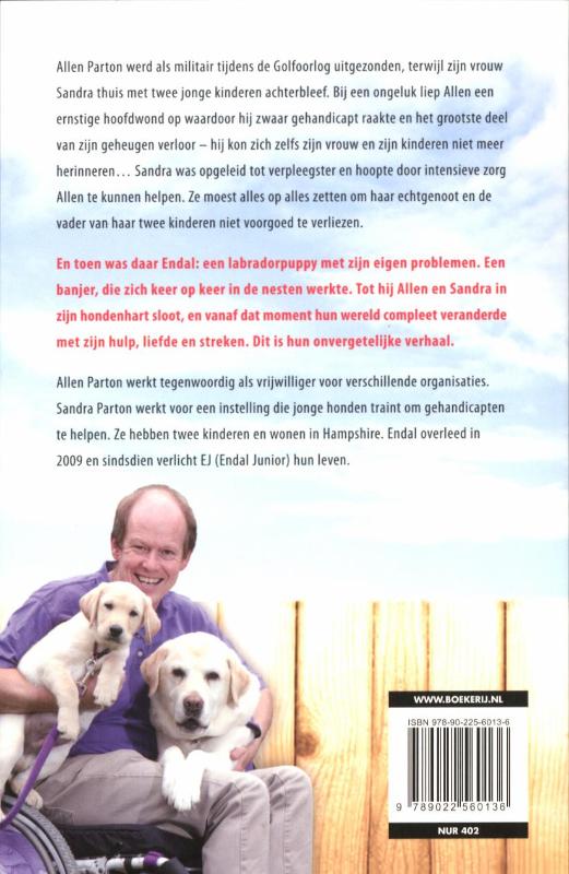 Een held van een hond achterkant