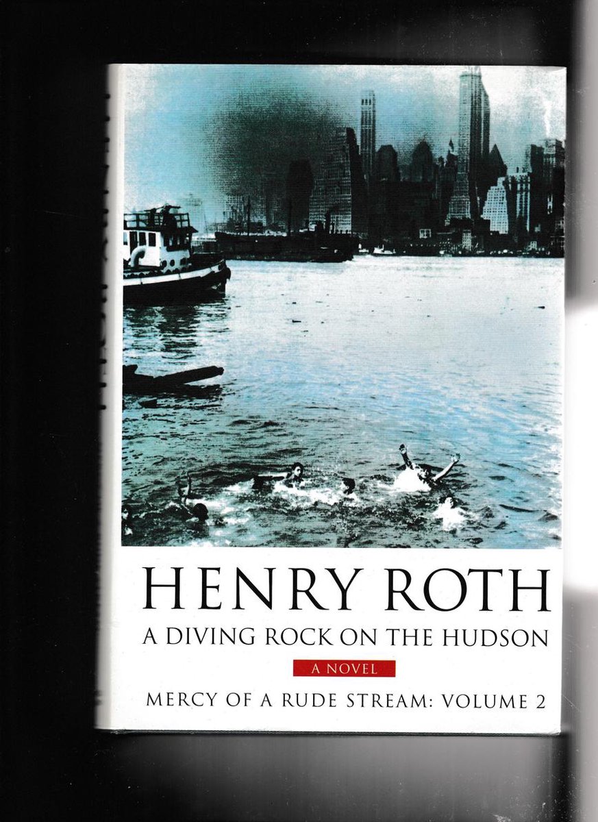 A Diving Rock on the Hudson