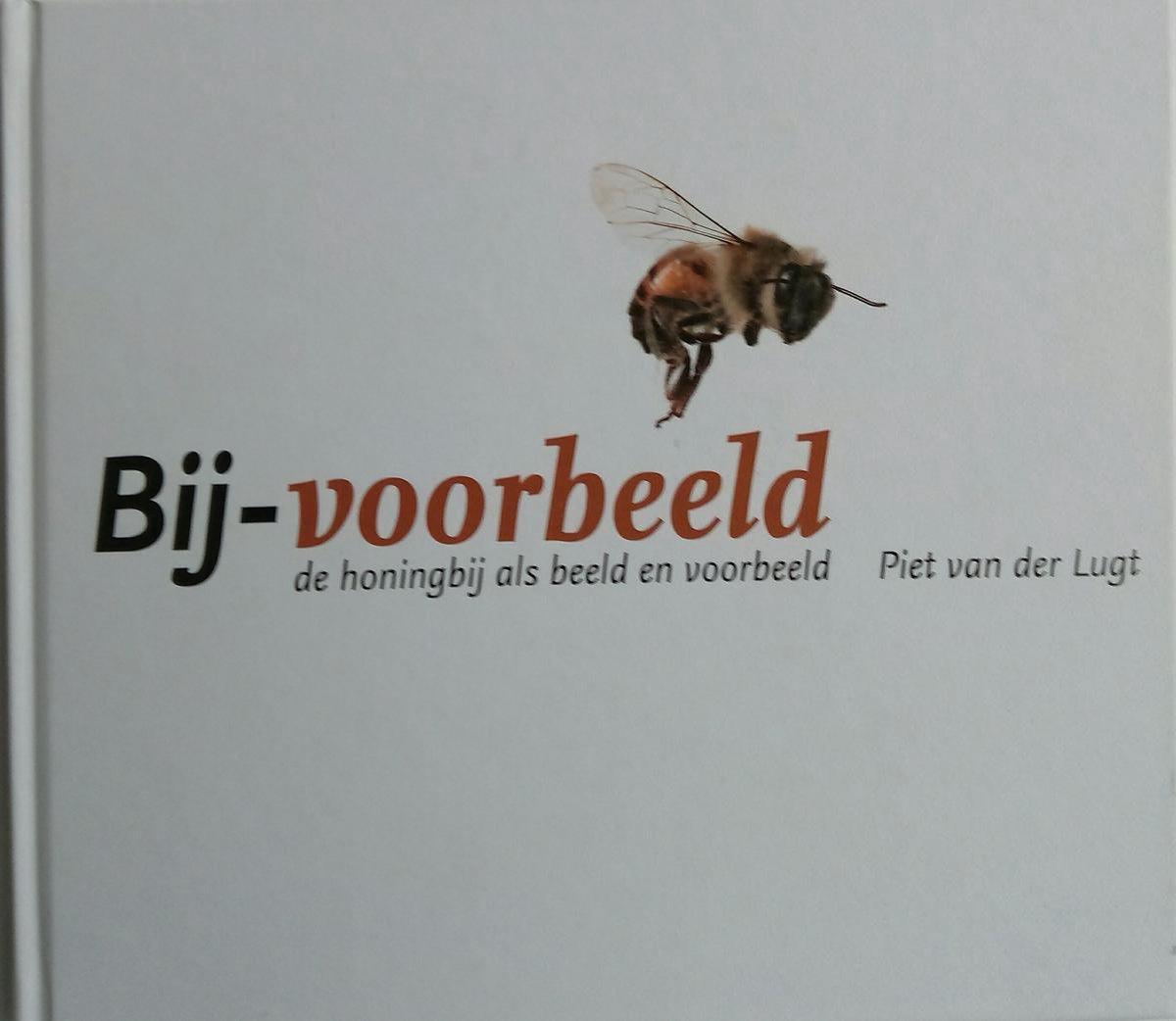 Bij voorbeeld