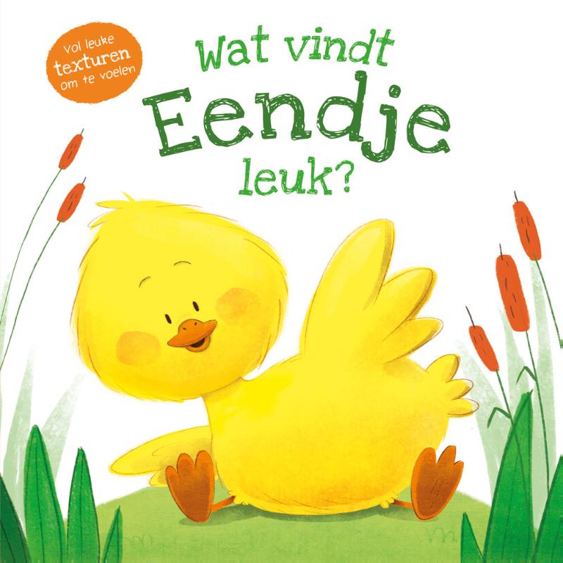 Wat vindt eendje leuk? / Wat vindt ... leuk?