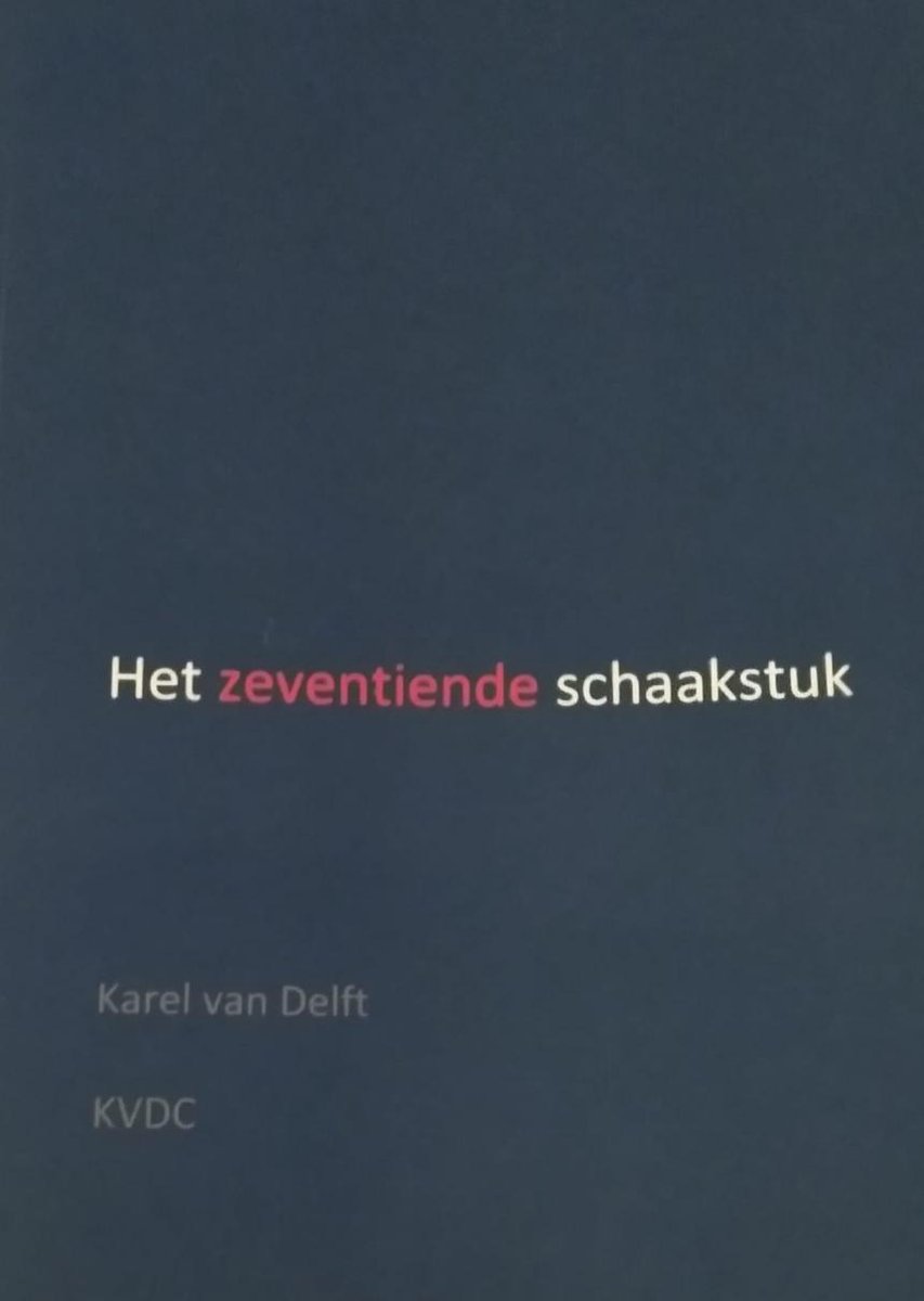 Het zeventiende schaakstuk