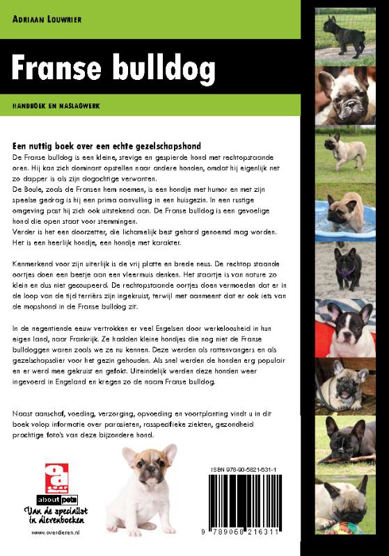 Franse bulldog achterkant