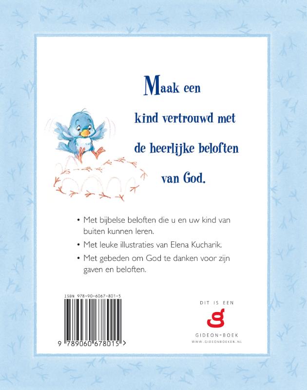 Beloften voor kleine schatjes achterkant