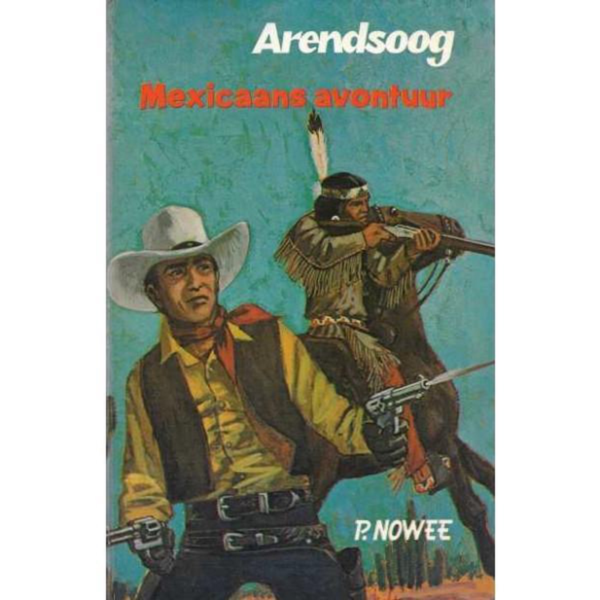 Arendsoog 41 Mexicaans Avontuur