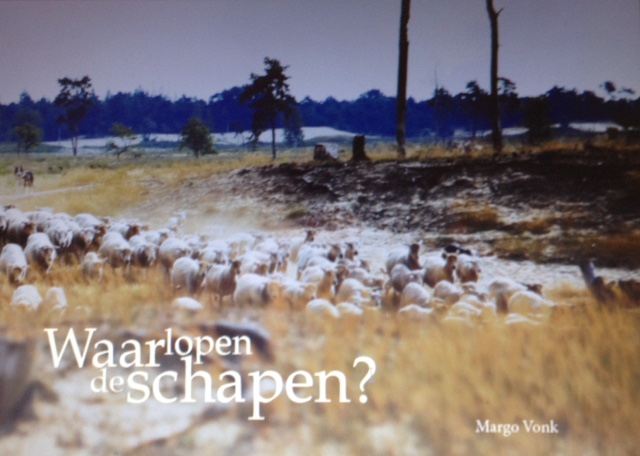 Waar lopen de schapen?