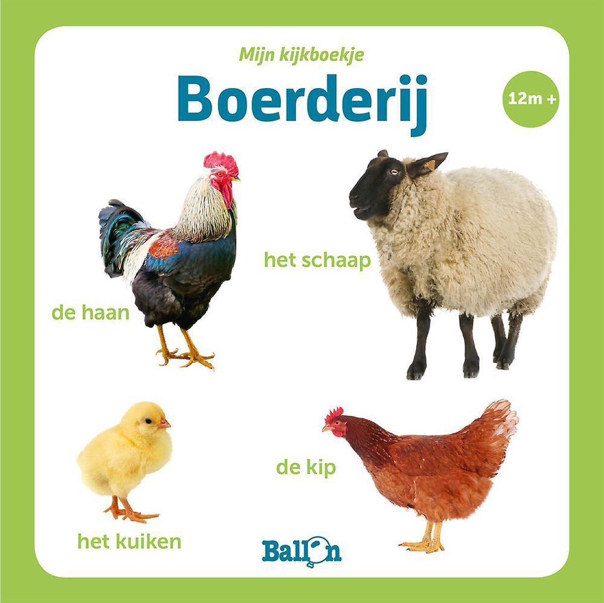 Boerderij (AS Watson 2019)