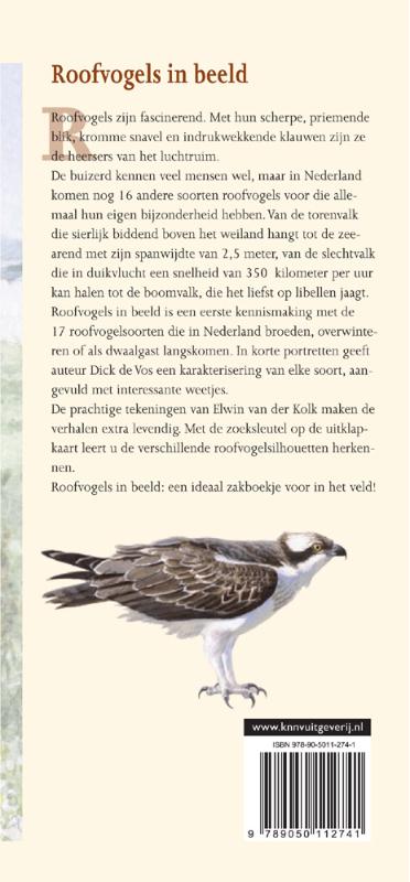 In Beeld 19 - Roofvogels in beeld achterkant