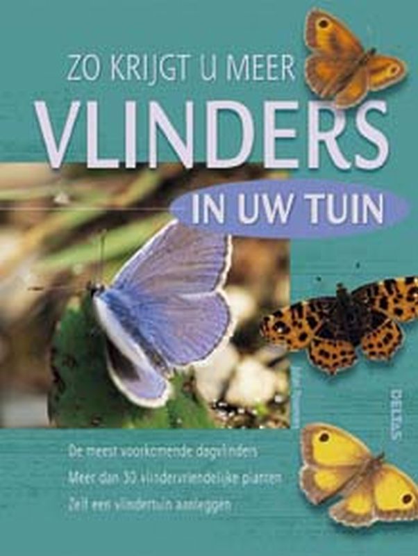 Vlinders In De Tuin