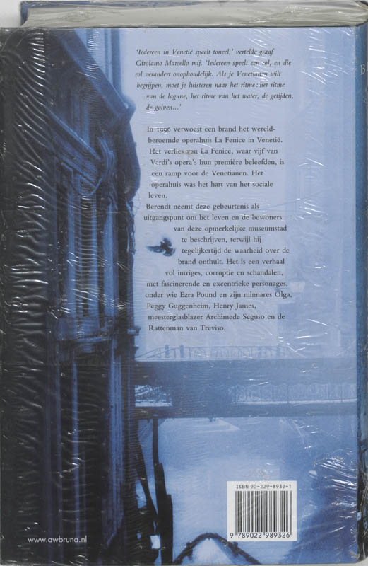 Stad Der Vallende Engelen achterkant