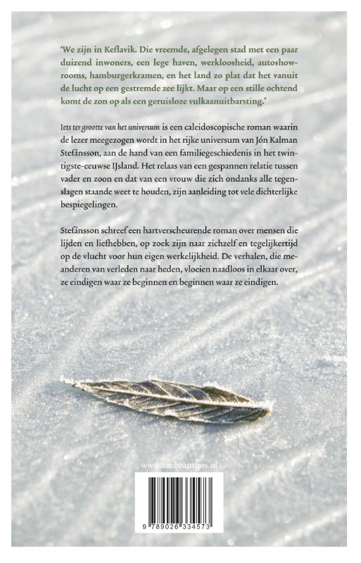 Iets ter grootte van het universum achterkant