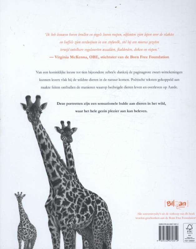 Leeuwen tellen achterkant