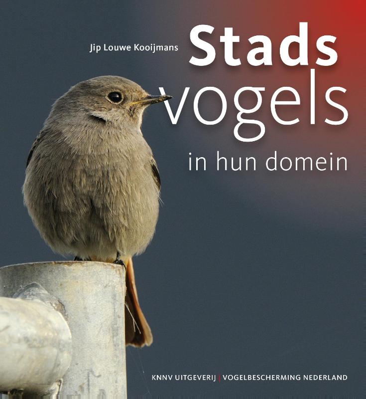 Stadsvogels in hun domein