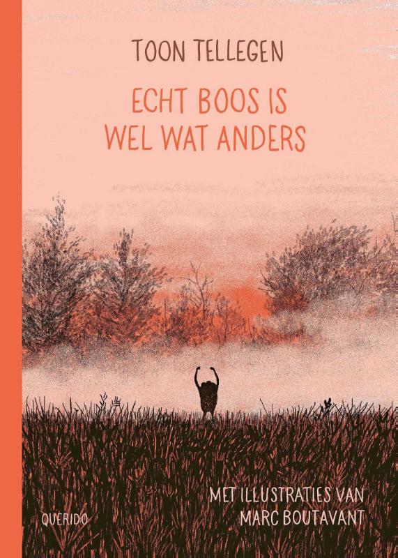 Echt boos is wel wat anders / Boos / 2