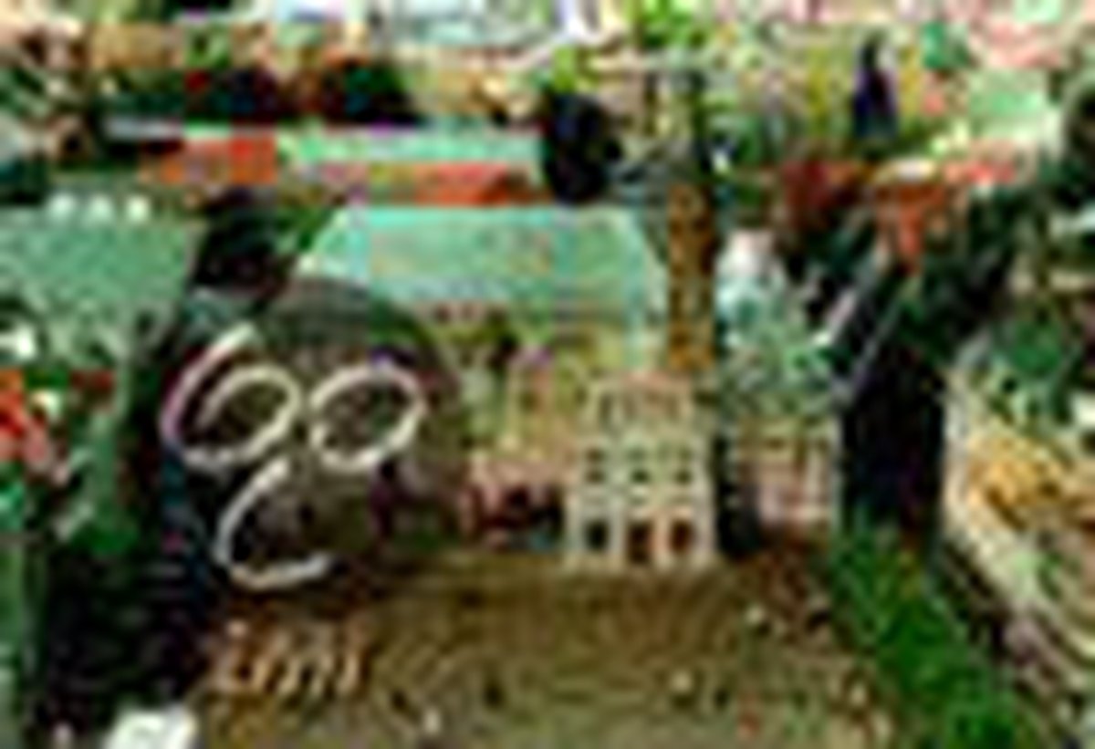 Stadhuis van Haarlem, het