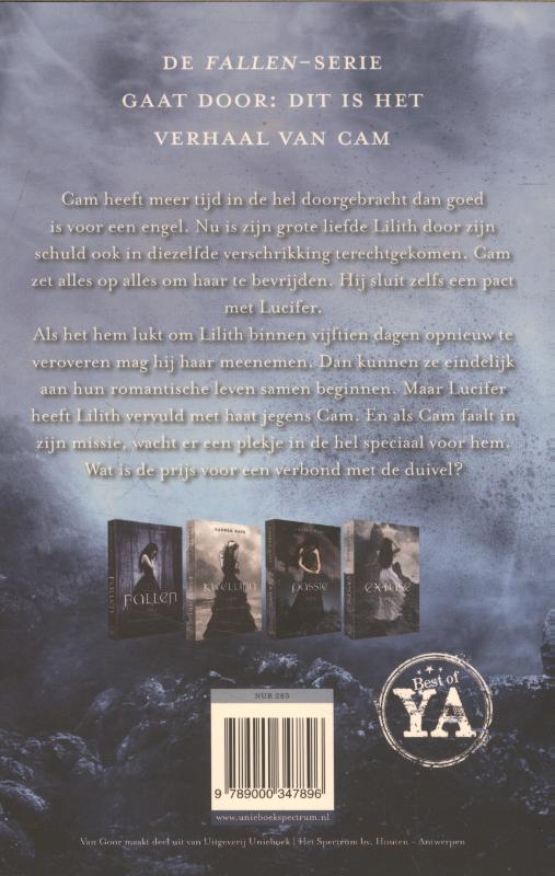 Fallen 5 - Schuld achterkant