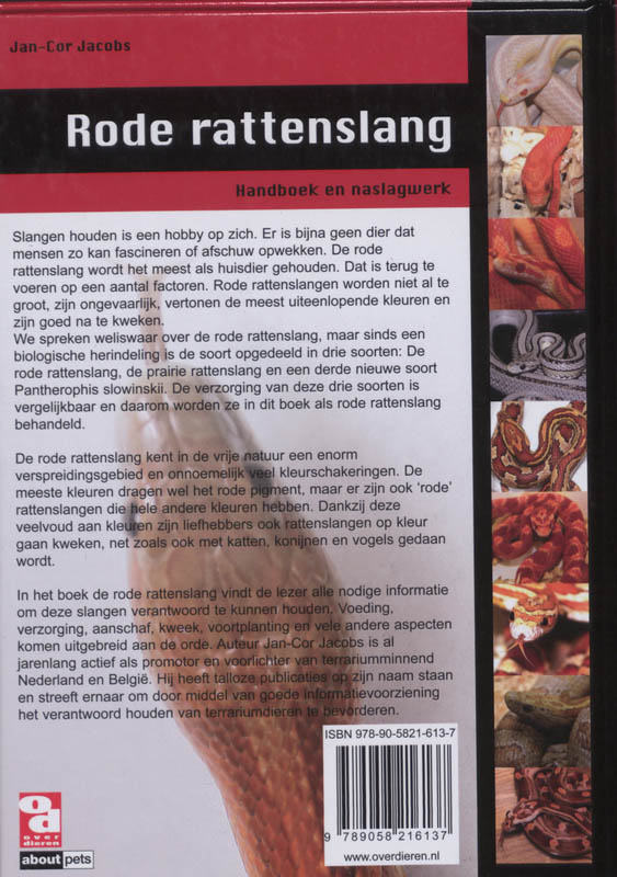 Rode rattenslang / Over Dieren achterkant