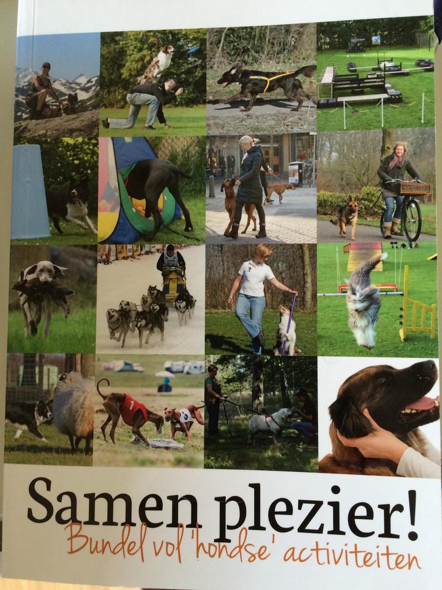 Samen Plezier!Bundel vol 'hondse' activiteiten
