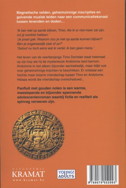 Panfluit met gouden noten achterkant