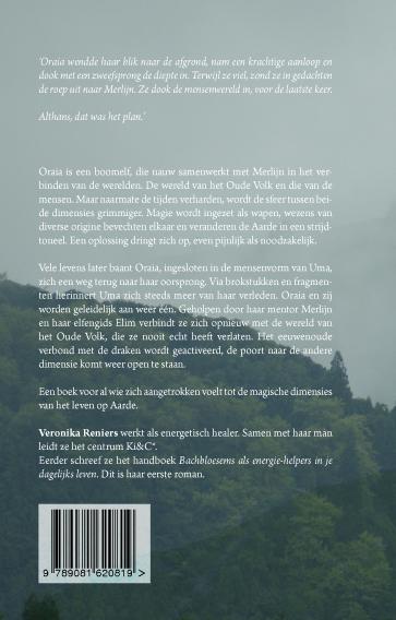 Merlijn en het sluiten van de poorten achterkant