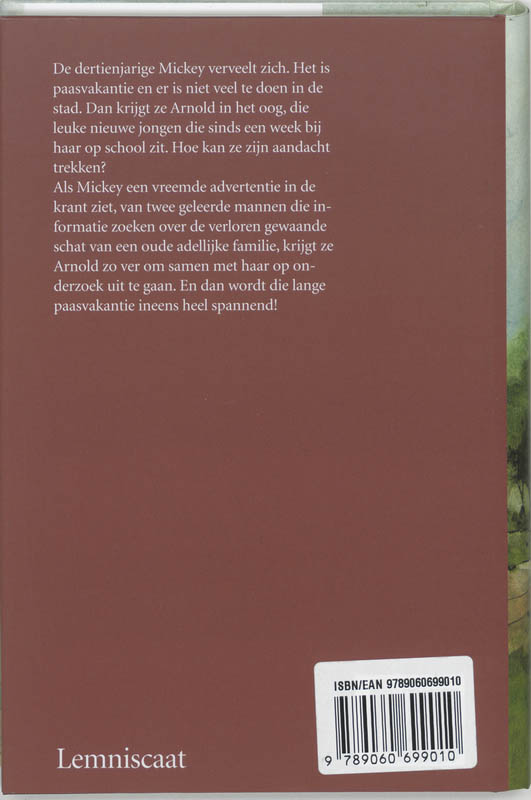 De verloren schat achterkant