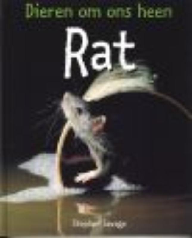 Rat / Dieren om ons heen