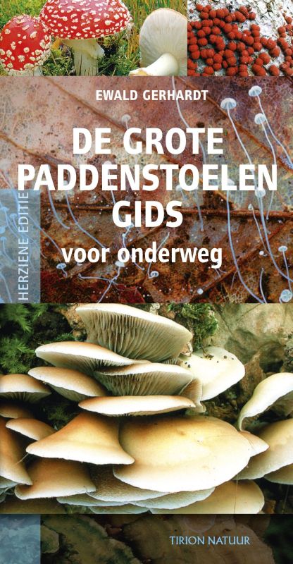 De grote paddenstoelengids voor onderweg