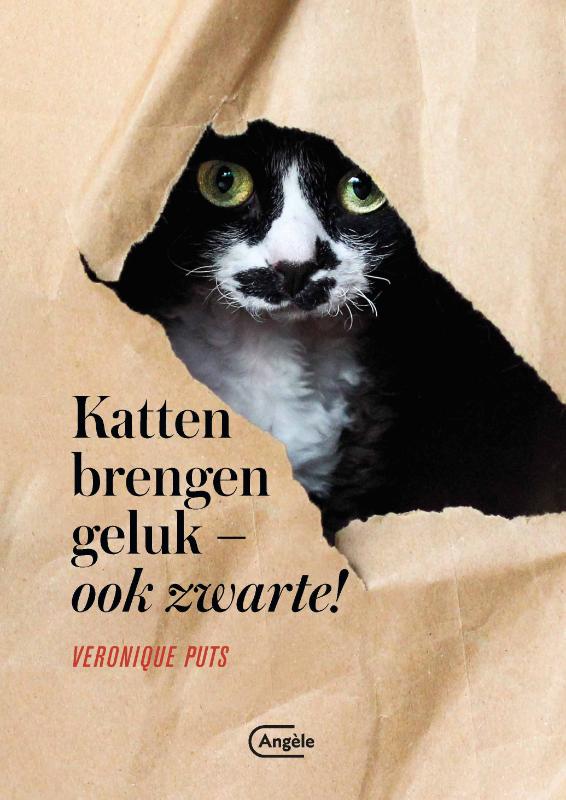 Katten brengen geluk - ook zwarte!