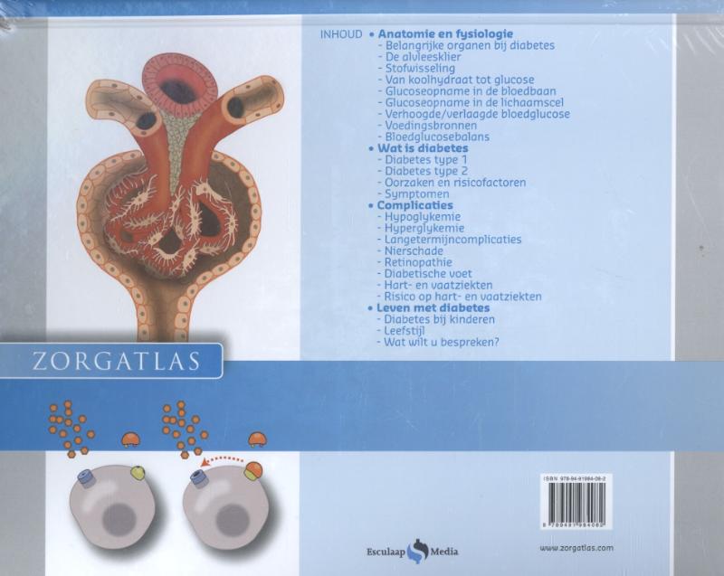 Zorgatlas  -   Diabetes achterkant