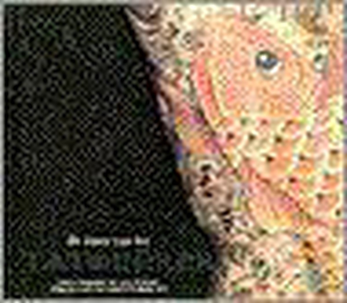 De tatoeeren, de kunst van