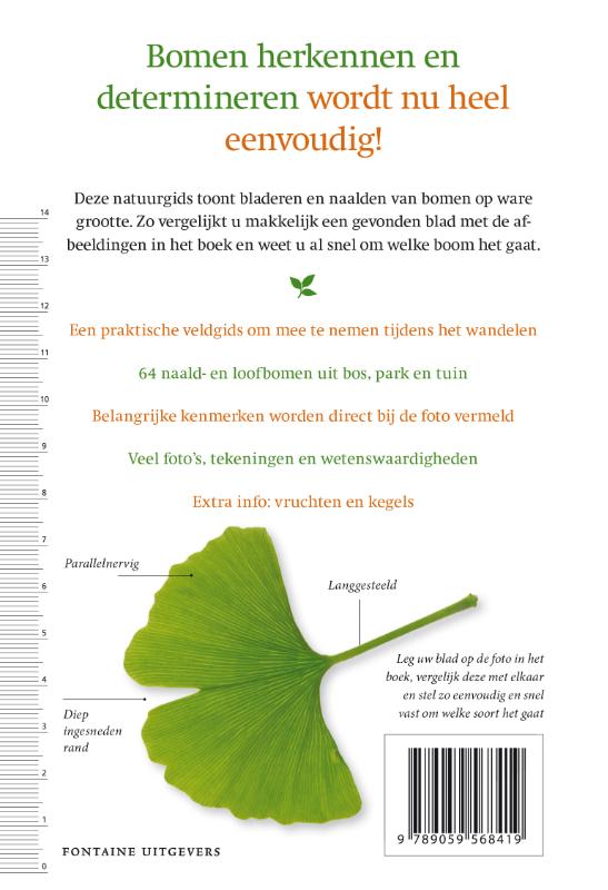 Boombladeren op ware grootte achterkant