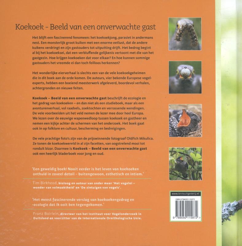De vogelserie  -   Koekoek achterkant