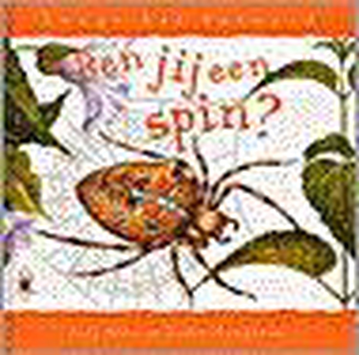 Ben jij een spin? / Langs het tuinpad