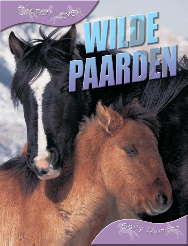 Wilde paarden / Dieren leven