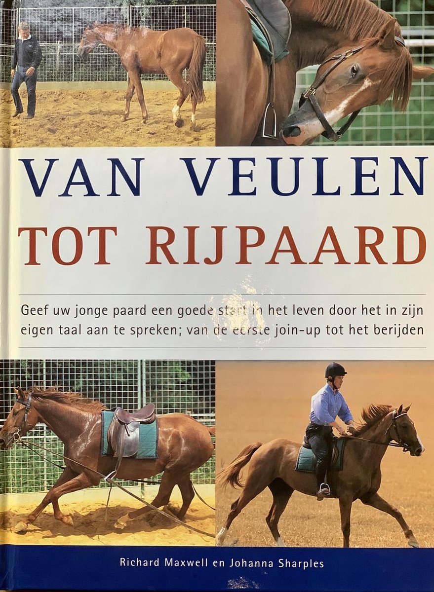Van veulen tot rijpaard