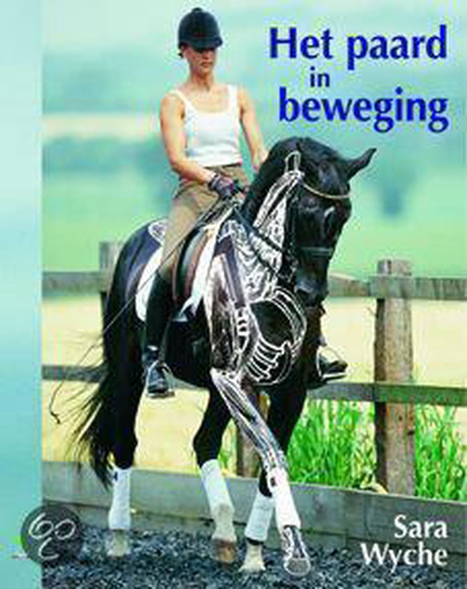 Het Paard In Beweging