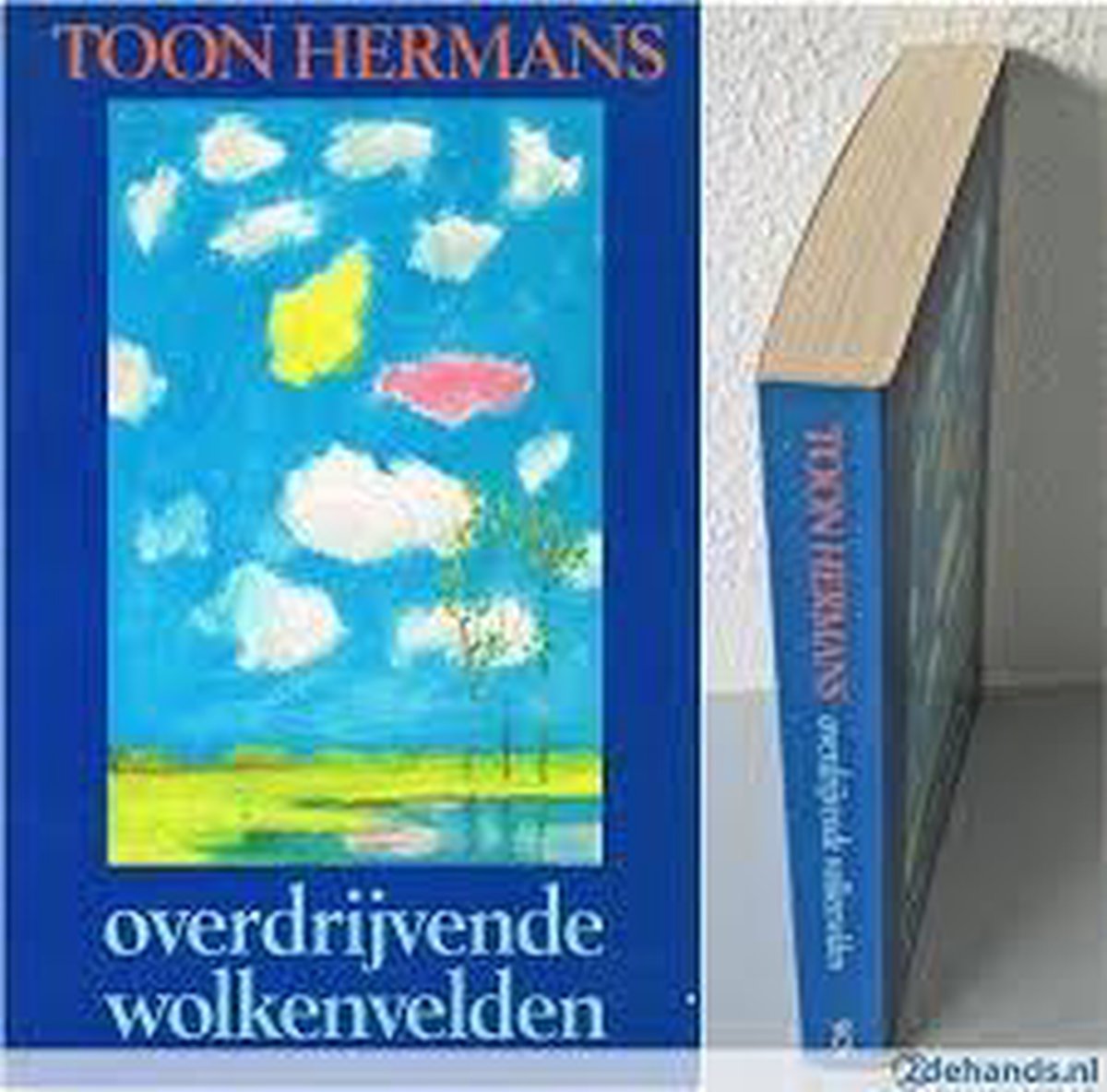 Overdrijvende wolken