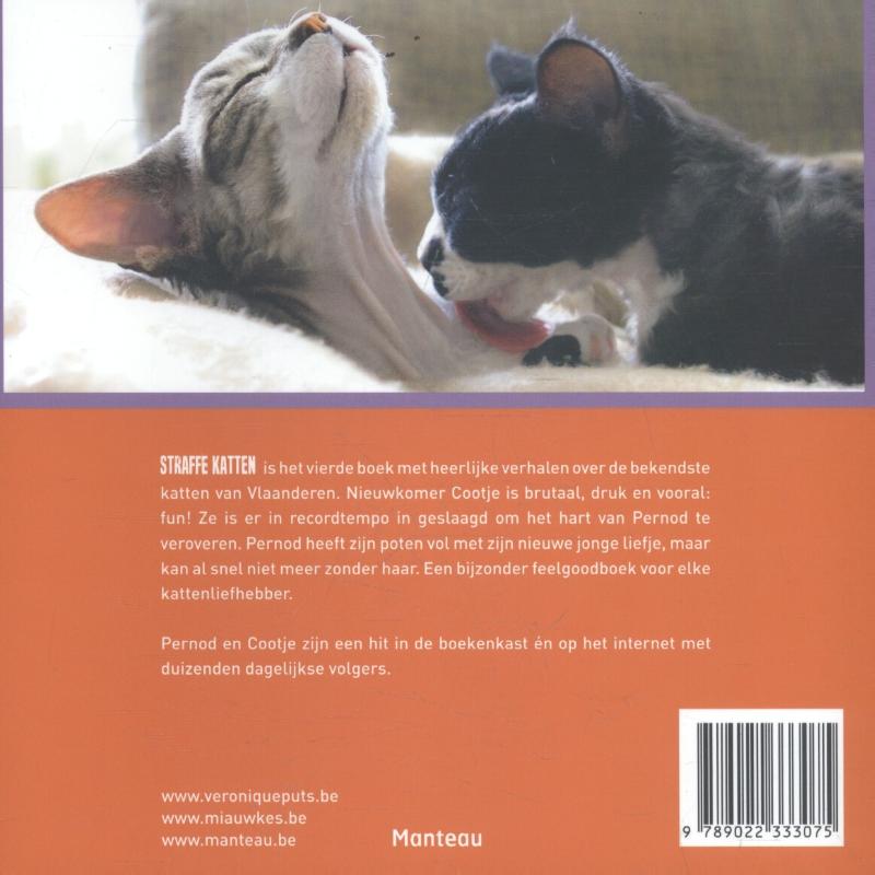 Straffe katten achterkant