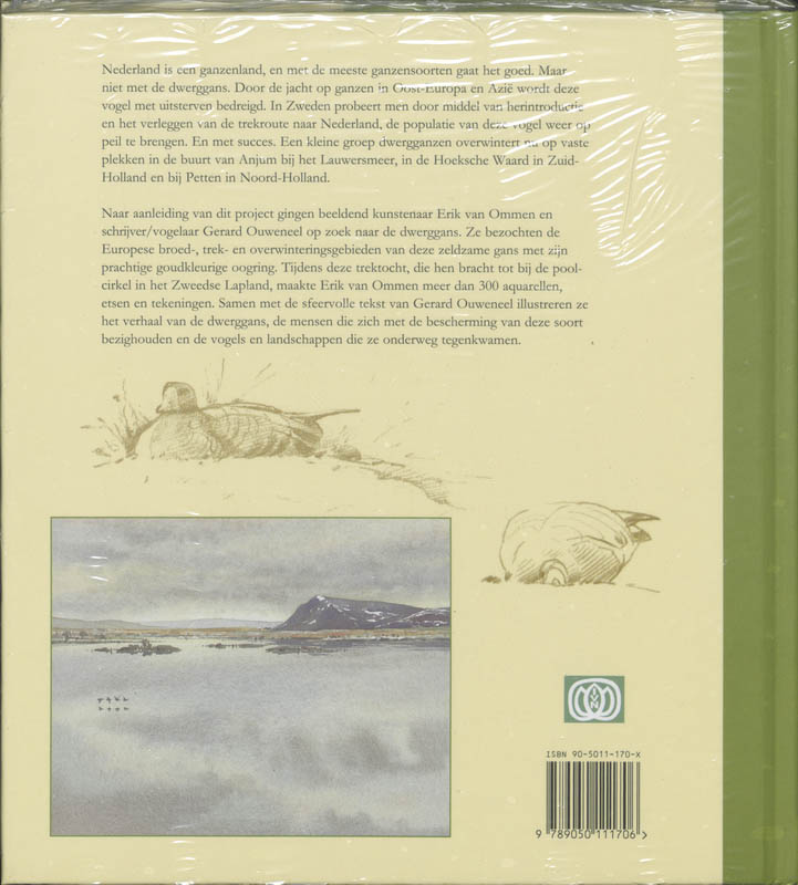 Dwergganzen Van Anjum achterkant