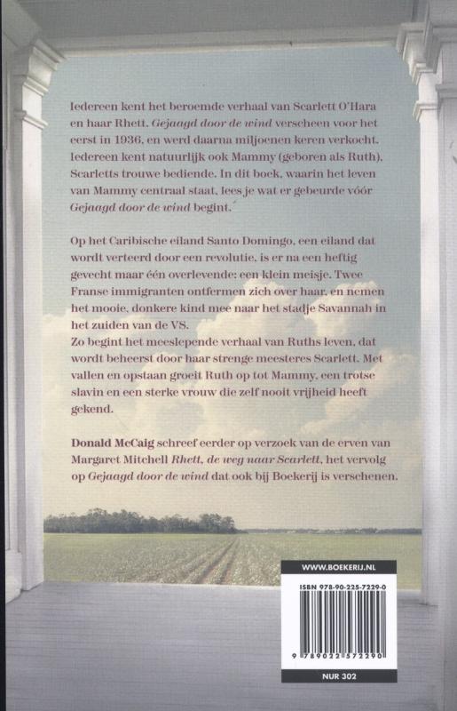 De reis van Ruth achterkant