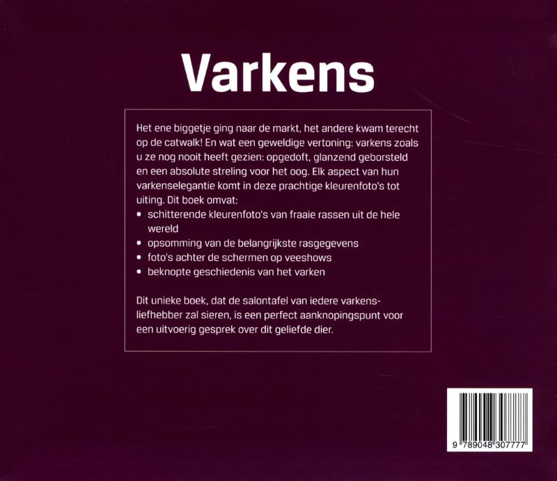 Varkens achterkant