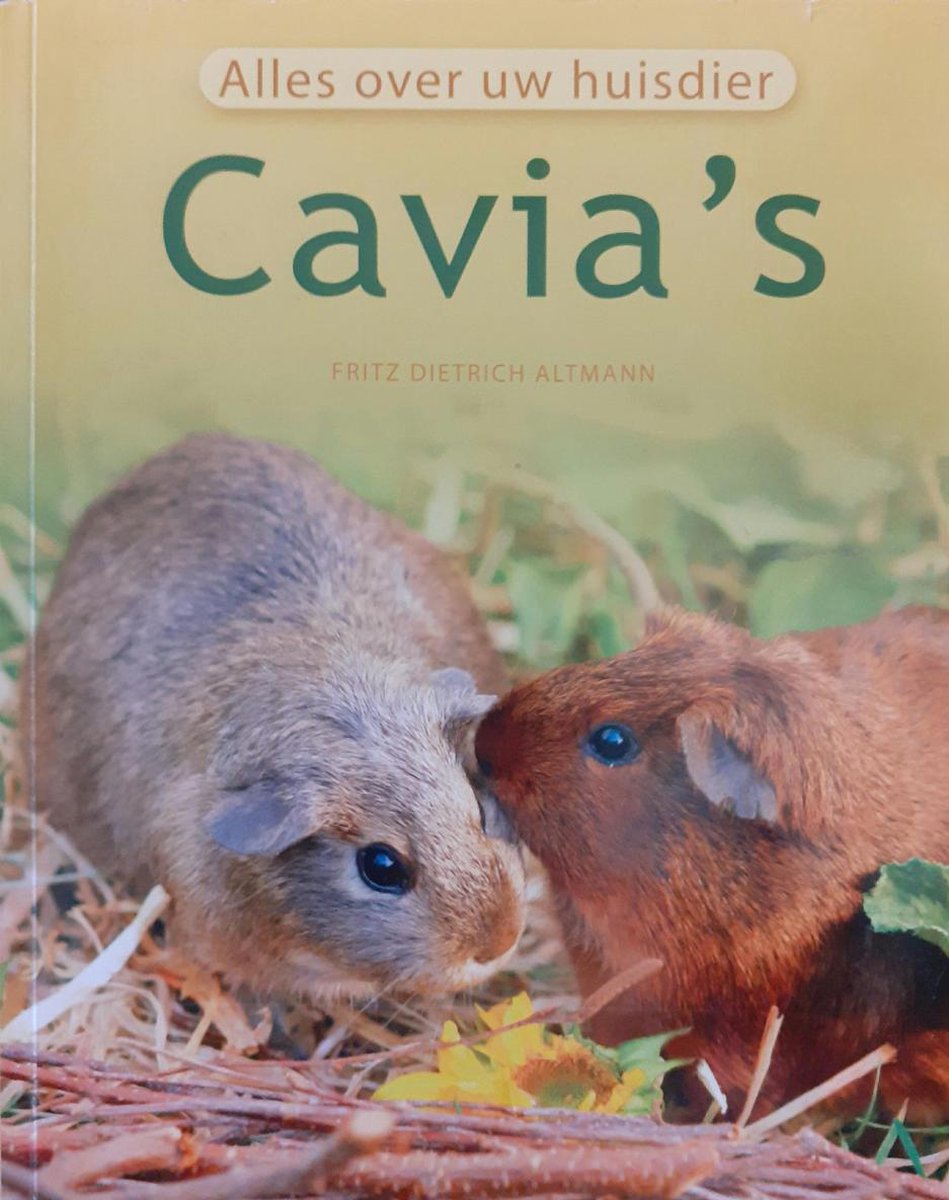 Cavia's