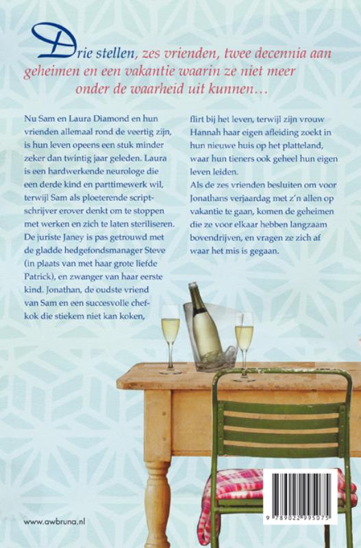 Vriendschap, Liefde En Andere Stommiteiten achterkant