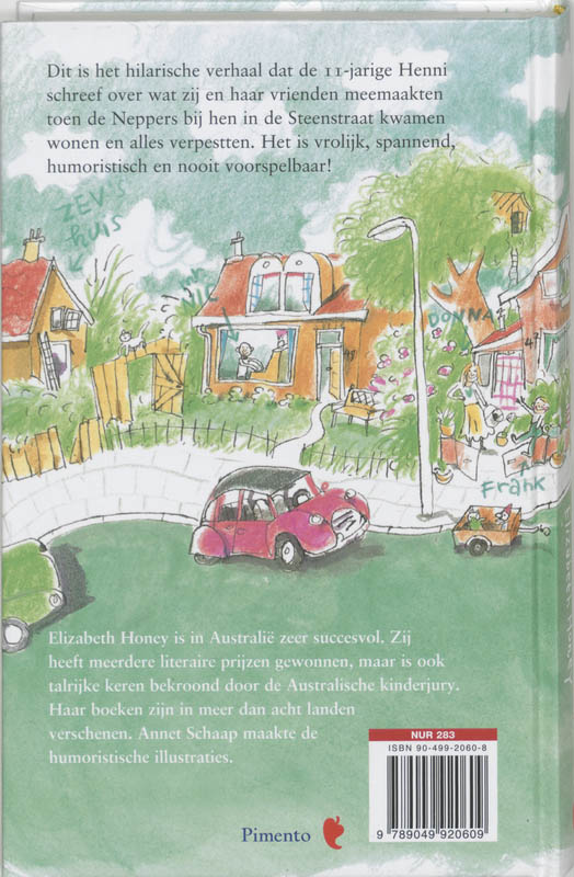 Steenstraat 45 & 47 achterkant