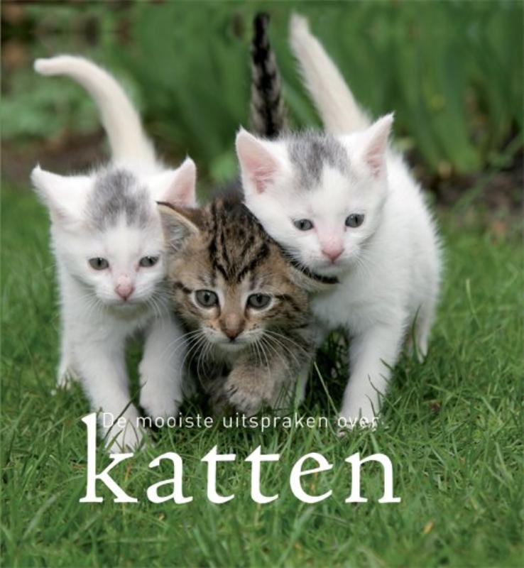 MOOISTE UITSPRAKEN OVER KATTEN