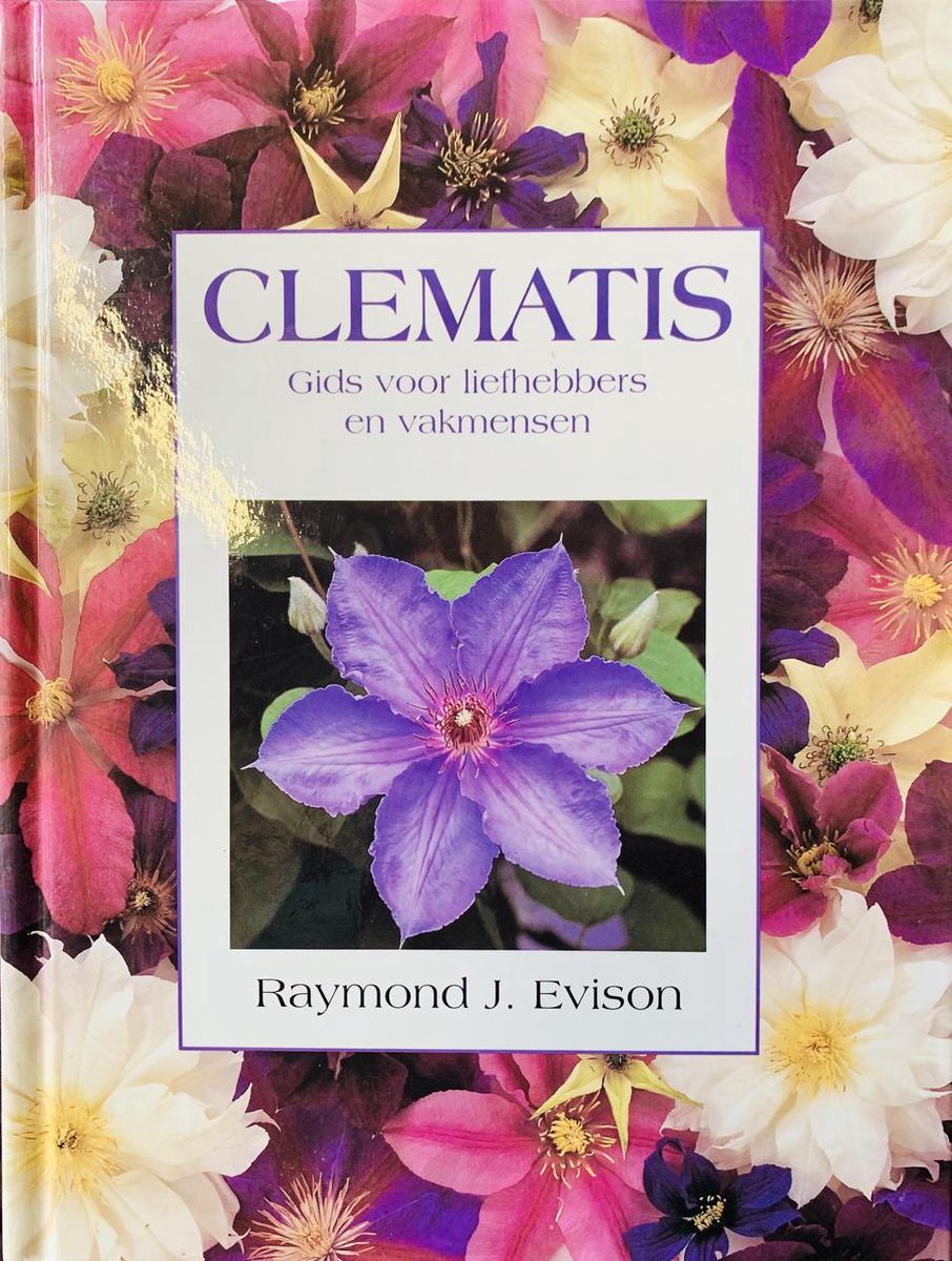 Clematis