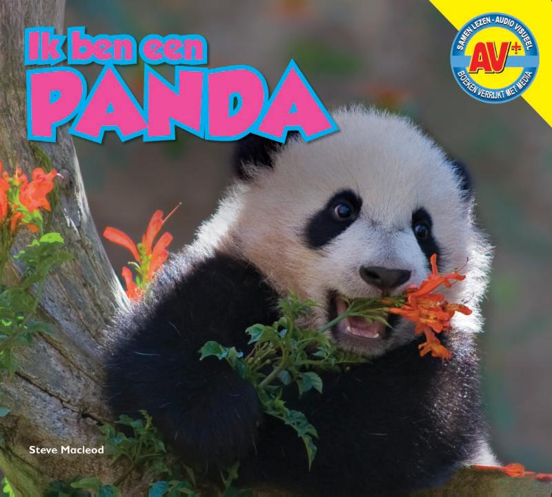 Panda / Ik ben een ...