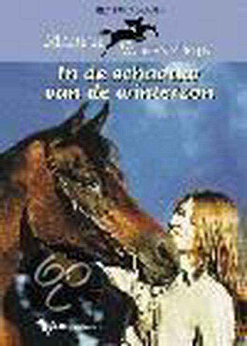 In De Schaduw Van De Winterzon