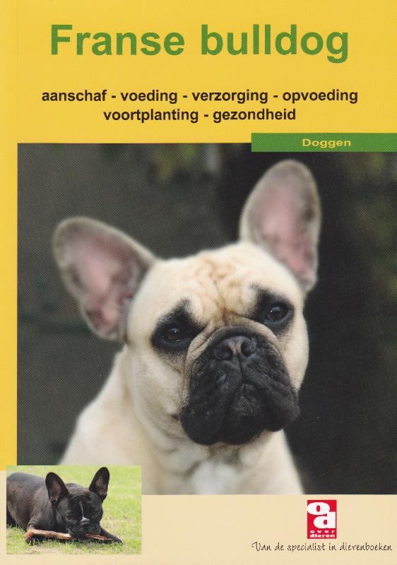 Franse bulldog / Over Dieren / 140